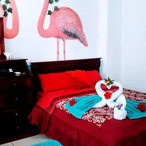 Appartement Galarous Island, Puerto Ayora (Galapagos Islands)
